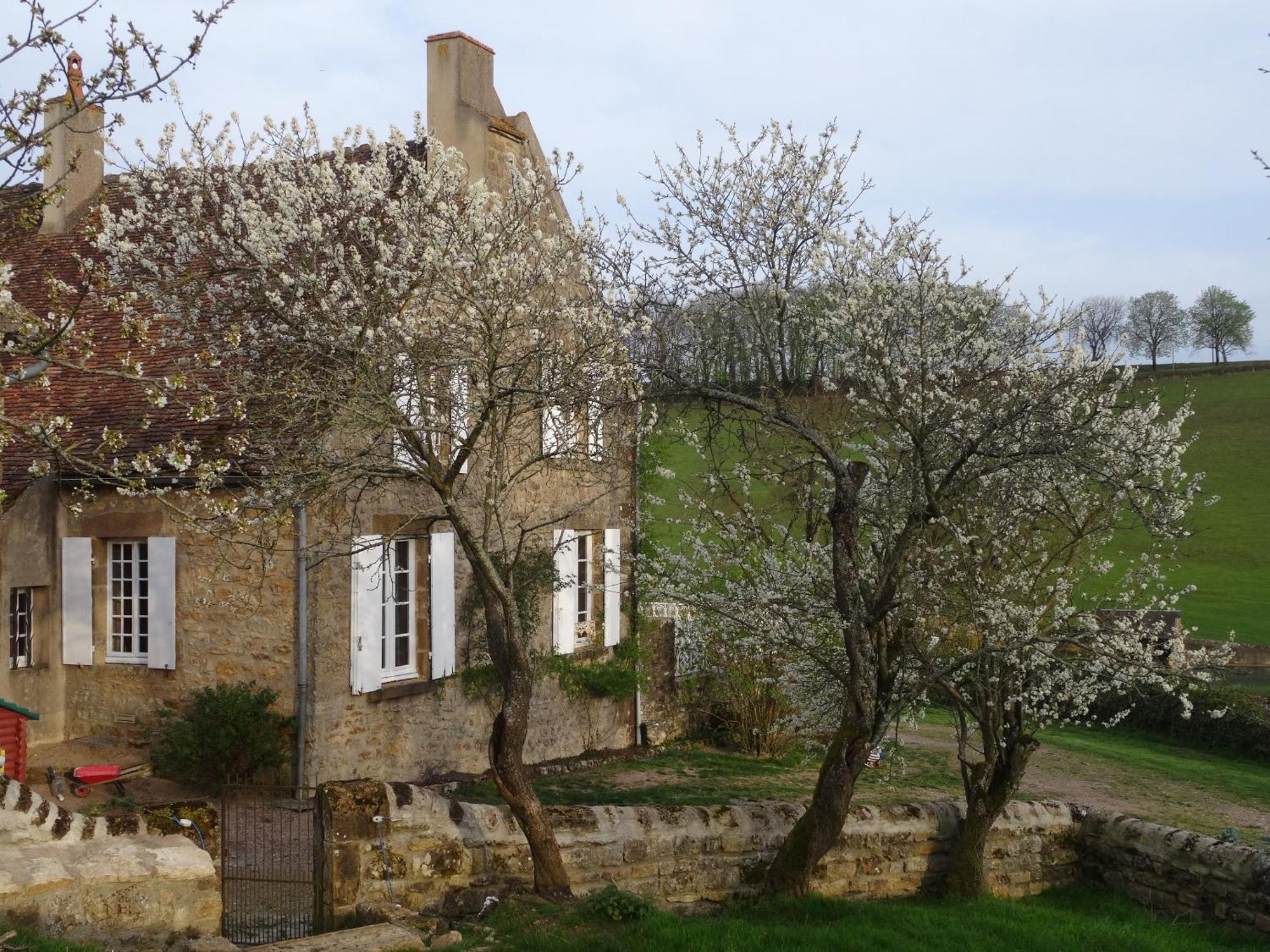 Bed and Breakfast Domaine de Drémont Anthien Exterior foto