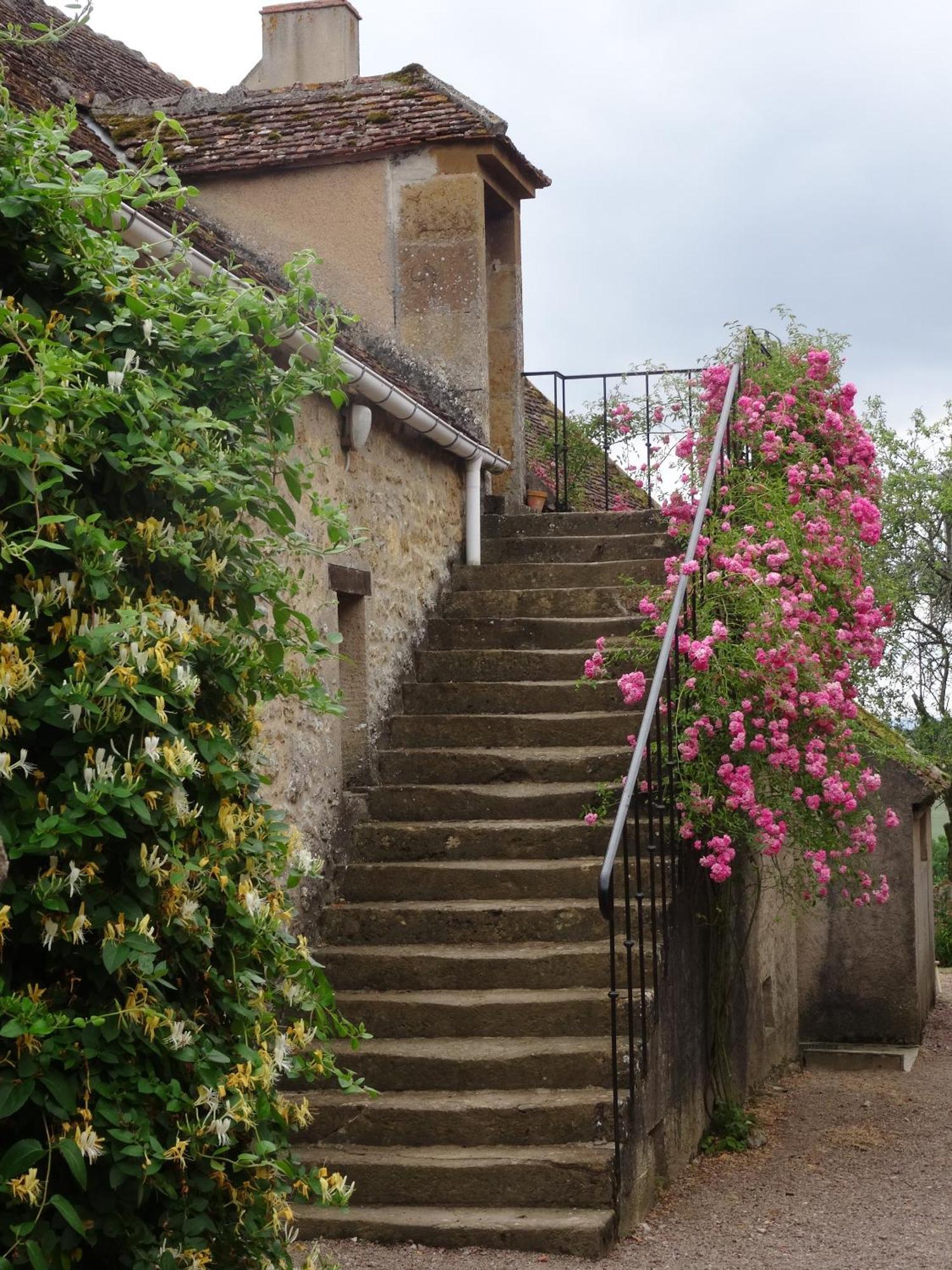 Bed and Breakfast Domaine de Drémont Anthien Exterior foto