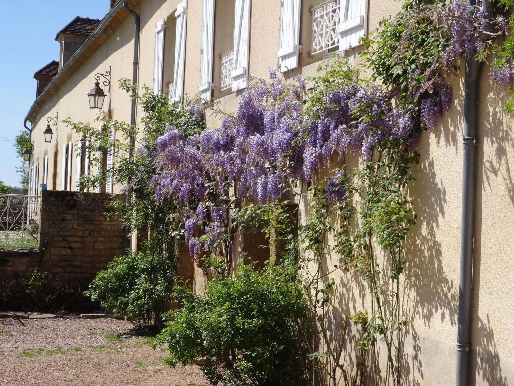 Bed and Breakfast Domaine de Drémont Anthien Exterior foto
