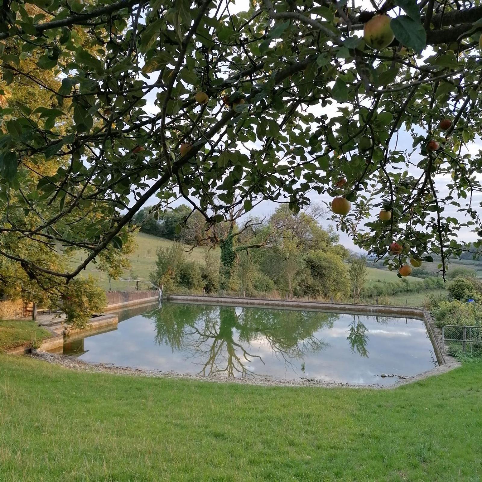 Bed and Breakfast Domaine de Drémont Anthien Exterior foto